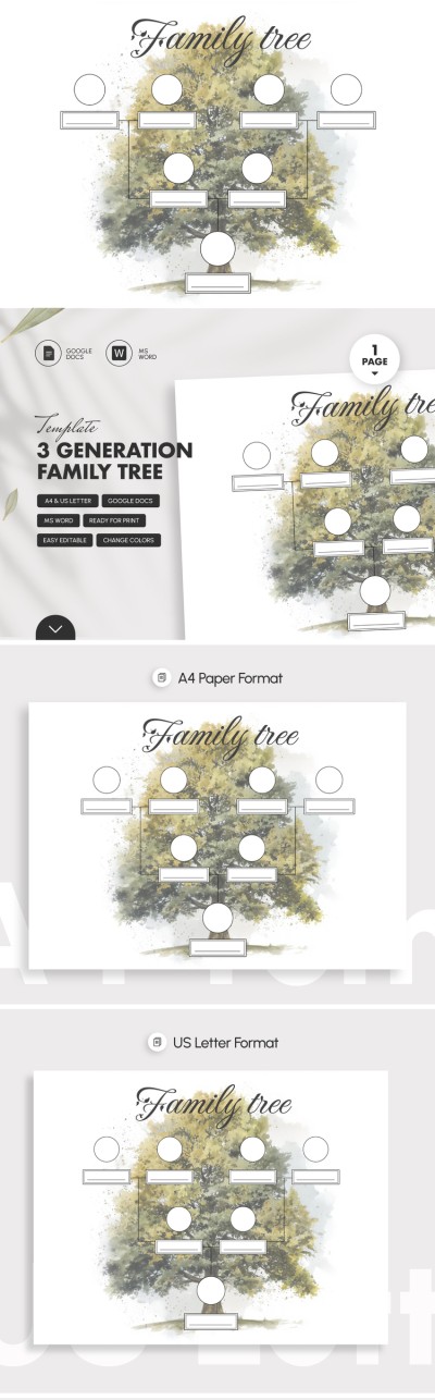 3 Albero genealogico di generazione Modello Modello