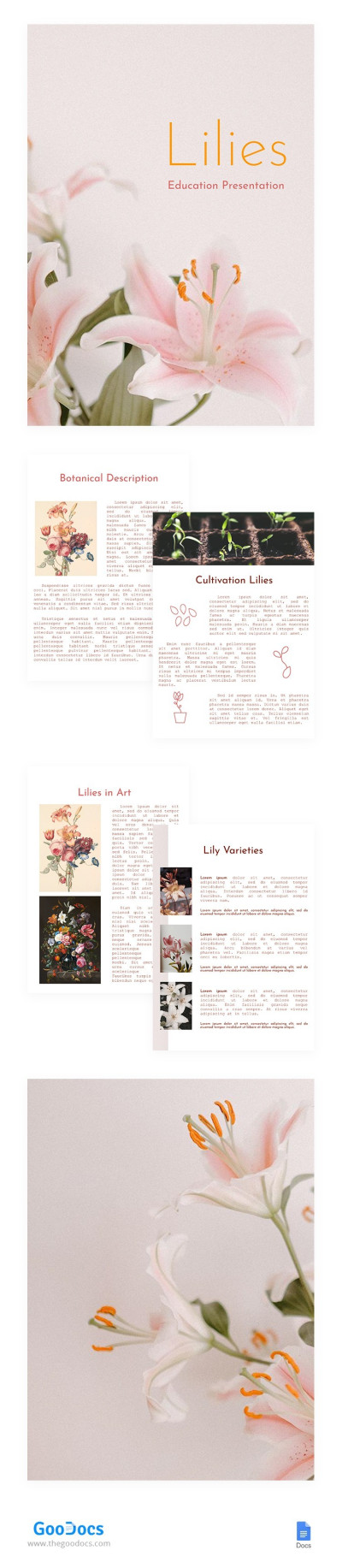 About Lilies Education Presentation Template