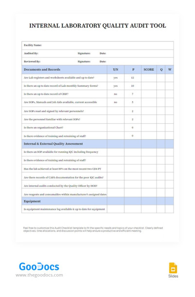 Audit Minimalistic Checklist Modello