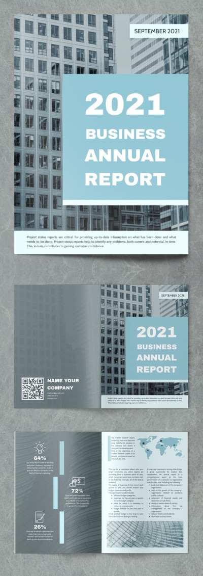 Relatório anual do negócio perfeito. Modelo