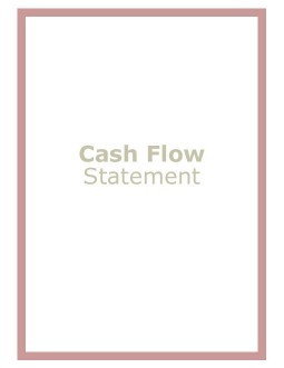 Professional Cash Flow Statement - Cash Flow Statements