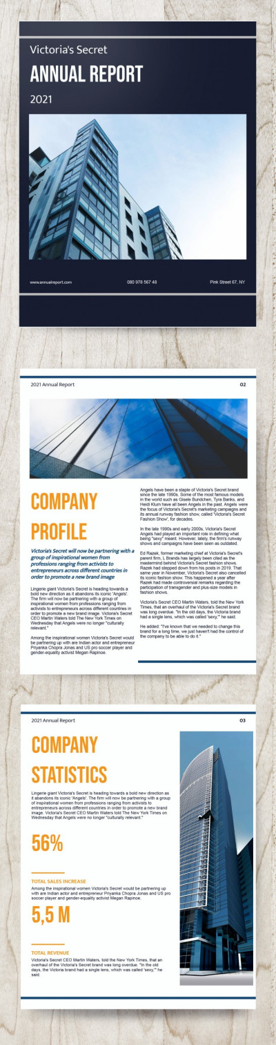 Corporate Annual Report Template