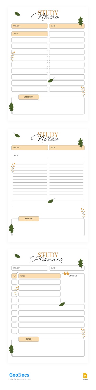 Creative Study Notes Template