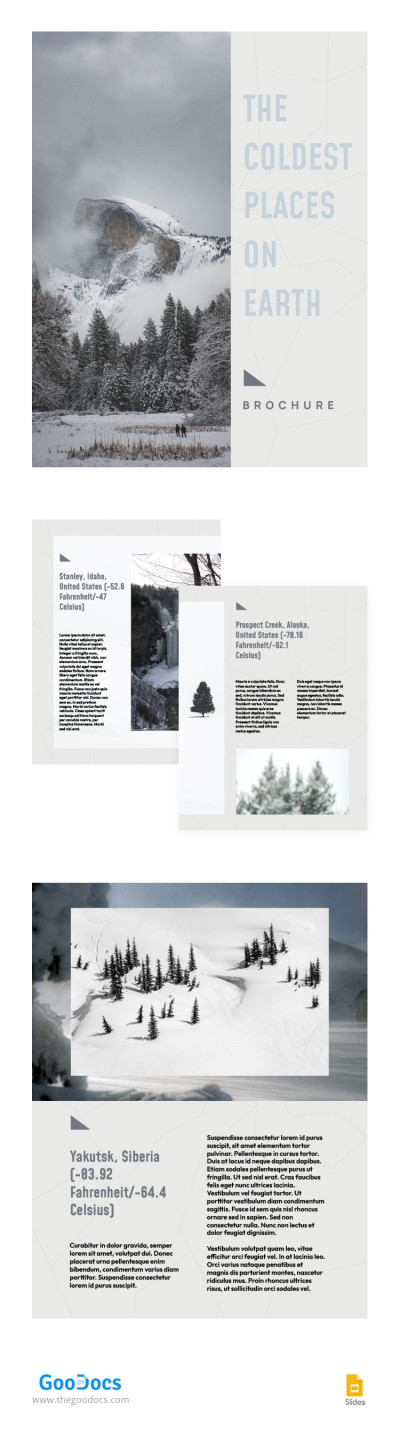 Bi-fold Travel Brochure