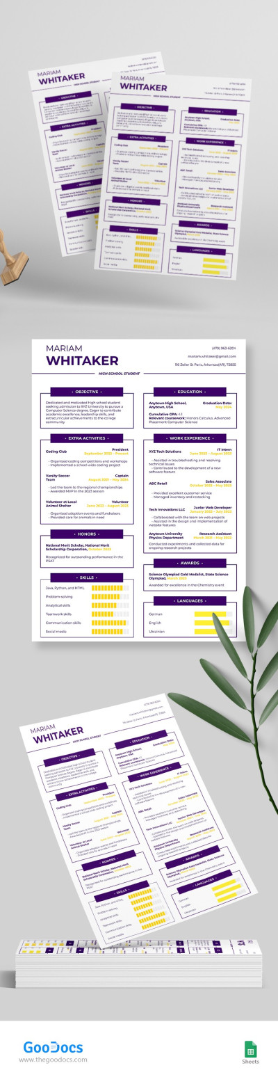 CV de lycée pour université Modèle