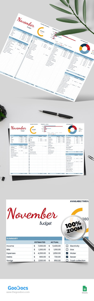 Budget mensuel avec des diagrammes Modèle