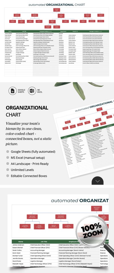 Modello di organigramma Modello