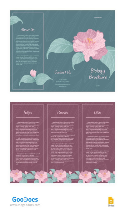 Pink And Green Biology Brochure Template