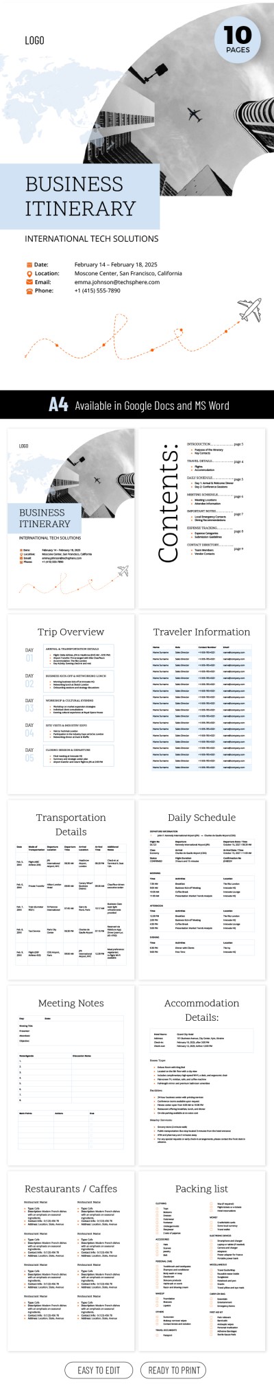 Professional Business Travel Itinerary Template