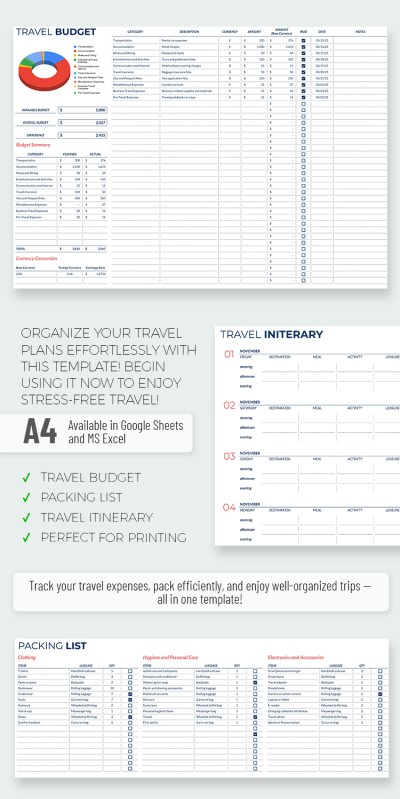 Professional Travel Budget Template