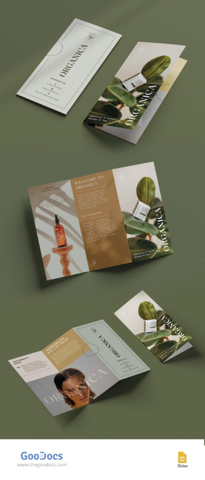 Elegant Trifold Brochure Template